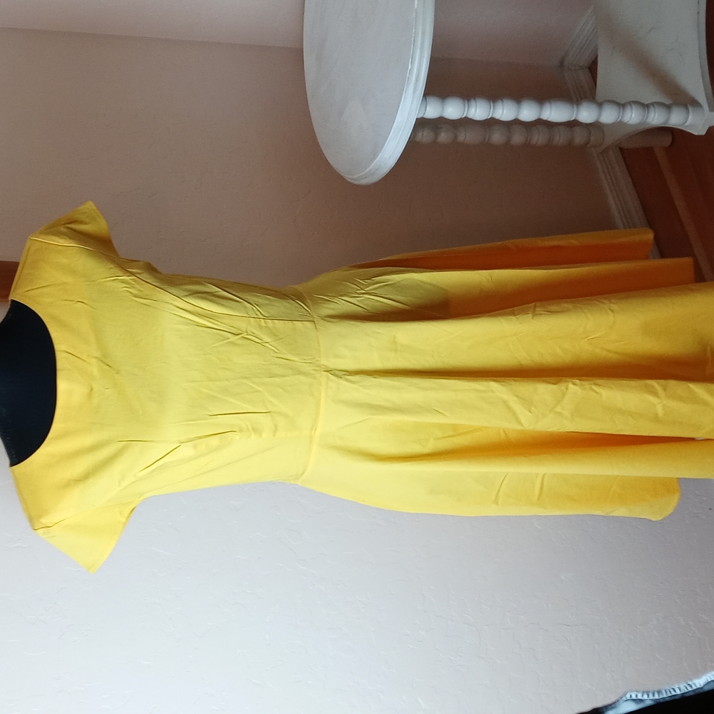 NWT Dressy Star Skater Dress